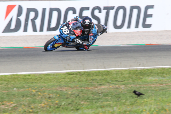 Angel Piqueras, Team Estrella Galicia 0,0 — Team Estrella Galicia 0,0 — CEV, JUNIORGP, moto3