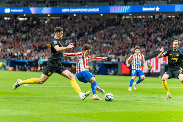 Atlético de Madrid 3 - 1 Royale Union SG  Champions League Jornada 4 — Giuliano Simeone — Atletico de Madrid, UEFA Champions League