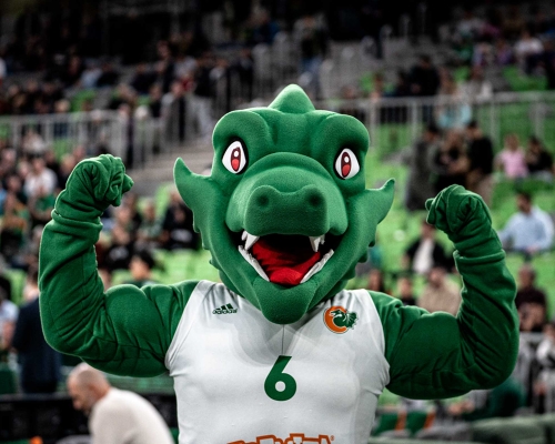 Cedevita Olimpija Ljubljana vs Crvena Zvezda — Cedevita Olimpija Ljubljana, Cedevita Olimpija Ljubljana vs Crvena Zvezda