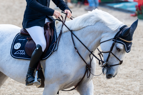 CSIO | Día 1 Trofeo de Apertura RCPB — Reial Club de Polo de Barcelona, Niels Bruynseels